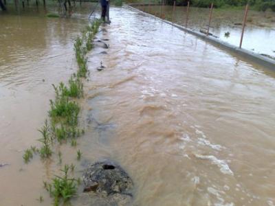 La tercera si que nos venci&oacute;.