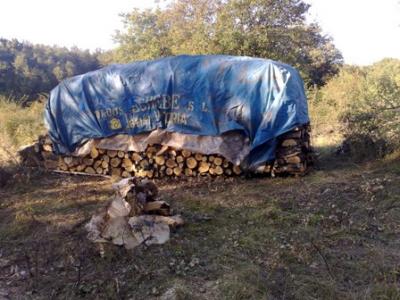 No es querer dar ejemplo, solo envidia