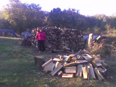 Mont&oacute;n de le&ntilde;a en el Cotarro