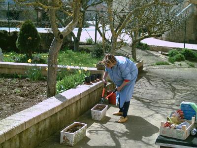 entretenimientos domingueros de un invierno