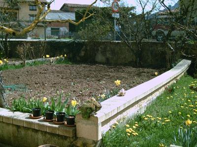 entretenimientos domingueros de un invierno