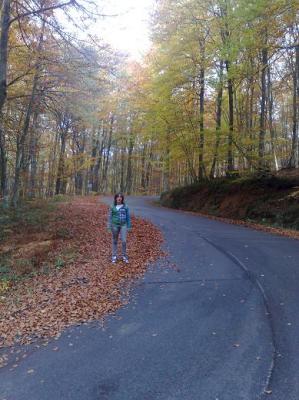 Oto&ntilde;o tard&iacute;o de Lagran