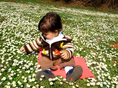 Ya lleg&oacute; la primavera 2012