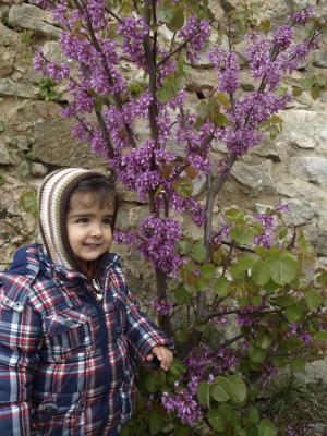 El &aacute;rbol de los enamorados en Lagran