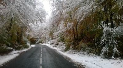 Oto&ntilde;o con efecto invierno
