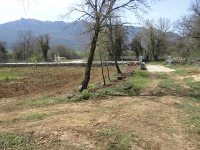 Limpieza y puesta apunto del Kotarro