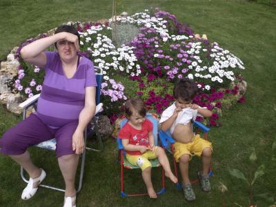 Las flores del jard&iacute;n